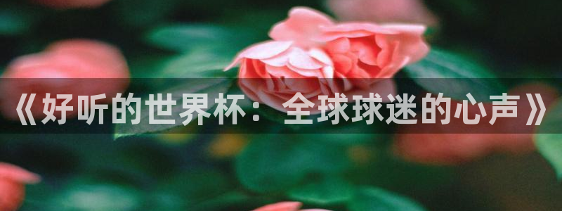 世界杯预选赛亚洲区积分榜：《好听的世界杯：全球球迷的心声》
