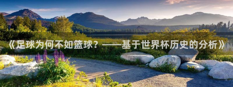 男足世界杯预选赛赛程：《足球为何不如篮球？——基于世界杯历史的分析》