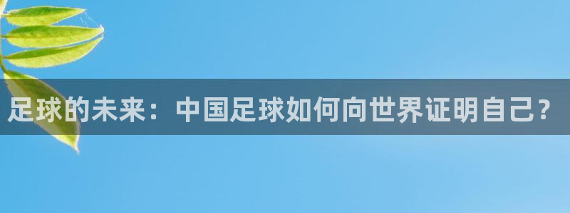 世界杯亚洲区预选赛赛程：足球的未来：中国足球如何向世界证明自己？