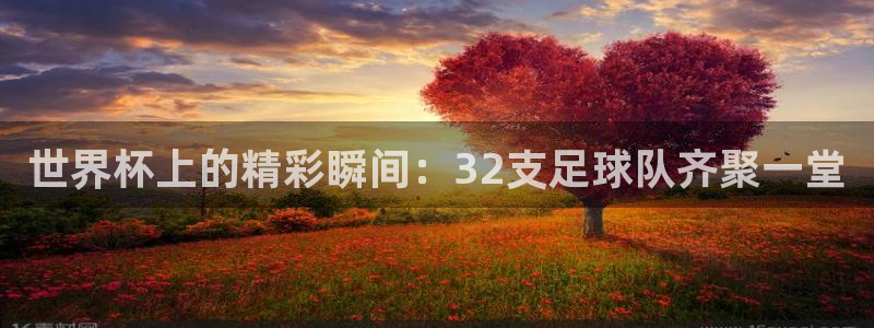 世界杯预选赛排名：世界杯上的精彩瞬间：32支足球队齐聚一堂