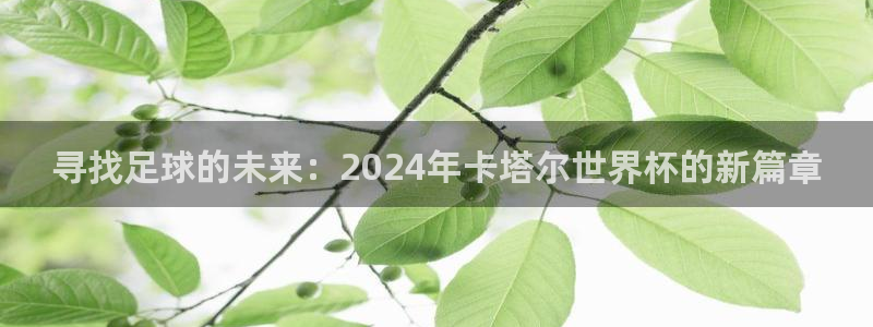 世界杯预选赛2026：寻找足球的未来：2024年卡塔尔世界杯的新篇章
