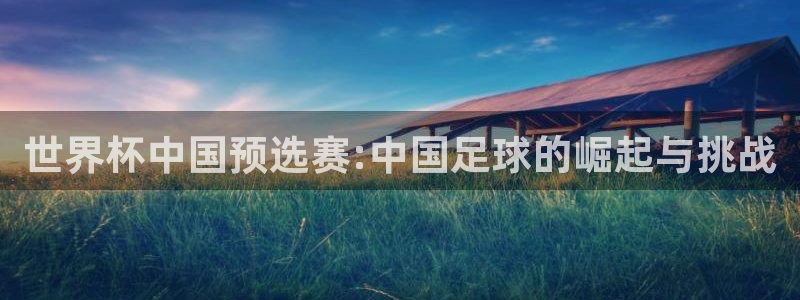 2026足球世界杯：世界杯中国预选赛:中国足球的崛起与挑战