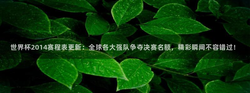世界杯预赛赛程：世界杯2014赛程表更新：全球各大强队争夺决赛名额，精彩瞬间不容错过！