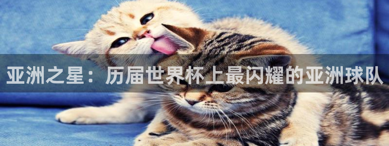 世界杯官网入口：亚洲之星：历届世界杯上最闪耀的亚洲球队