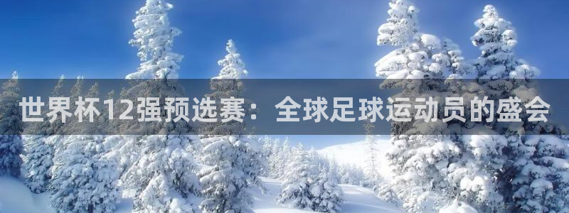 世界杯比赛赛程：世界杯12强预选赛：全球足球运动员的盛会