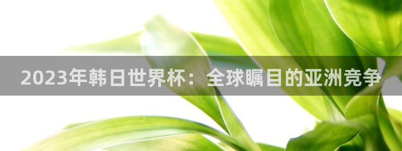 2026世界杯小组赛赛程时间表：2023年韩日世界杯：全球瞩目的亚洲竞争
