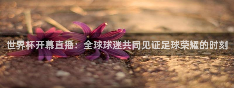 中国 世界杯：世界杯开幕直播：全球球迷共同见证足球荣耀的时刻