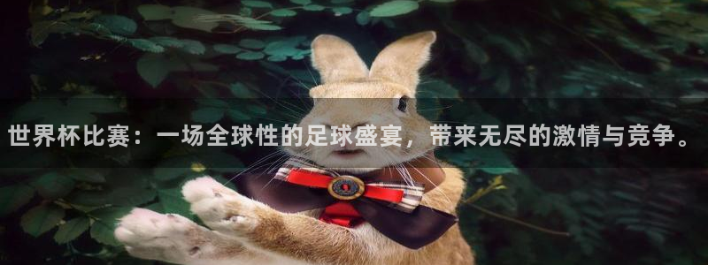 足球世界杯时间：世界杯比赛：一场全球性的足球盛宴，带来无尽的激情与竞争。