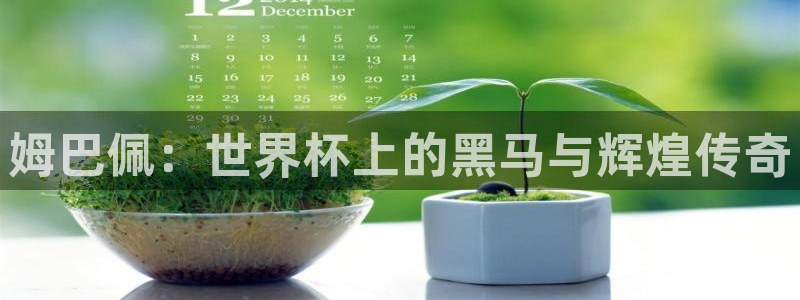 世界杯视频：姆巴佩：世界杯上的黑马与辉煌传奇
