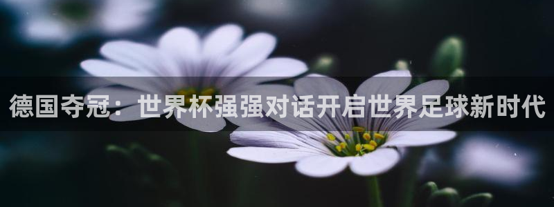 世界杯今年：德国夺冠：世界杯强强对话开启世界足球新时代
