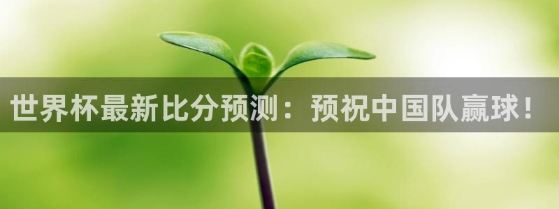 世预赛免费直播入口：世界杯最新比分预测：预祝中国队赢球！