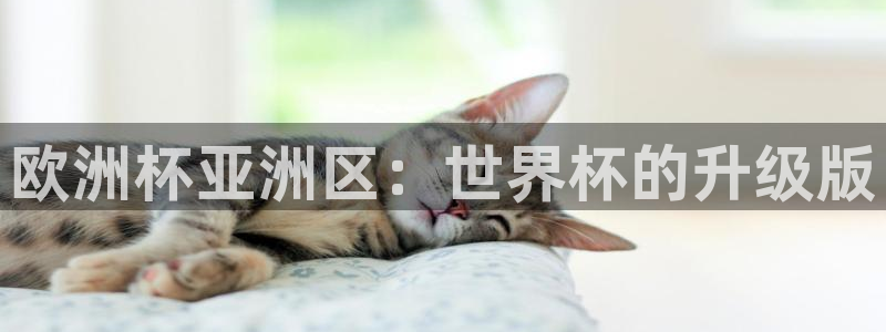 2006年世界杯：欧洲杯亚洲区：世界杯的升级版