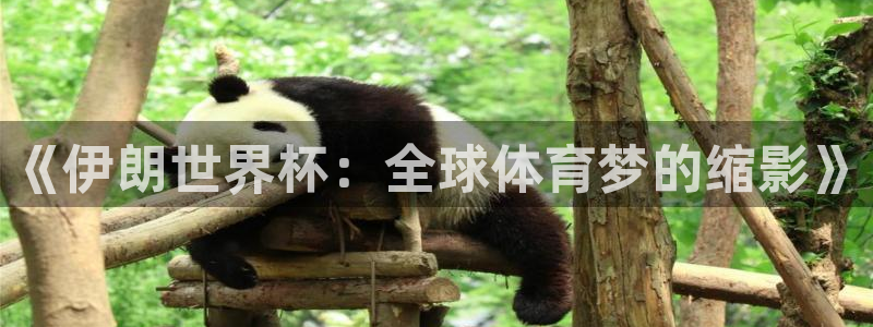 欧洲世预赛赛程表：《伊朗世界杯：全球体育梦的缩影》